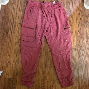 Banana Republic Women's Brick Red Ankle Pants